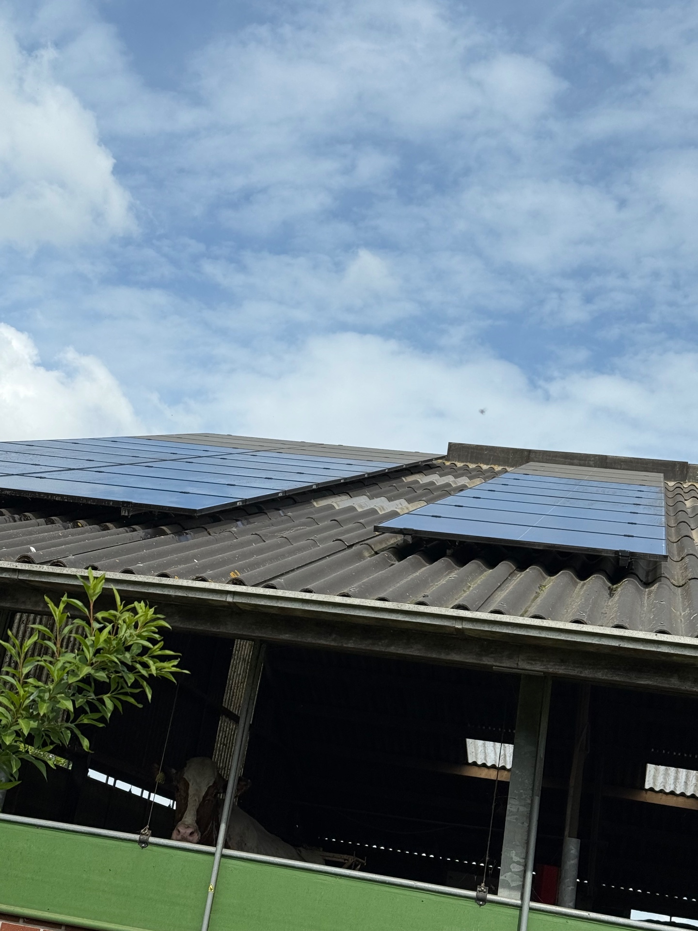 Zonnepanelen bedrijfsdak