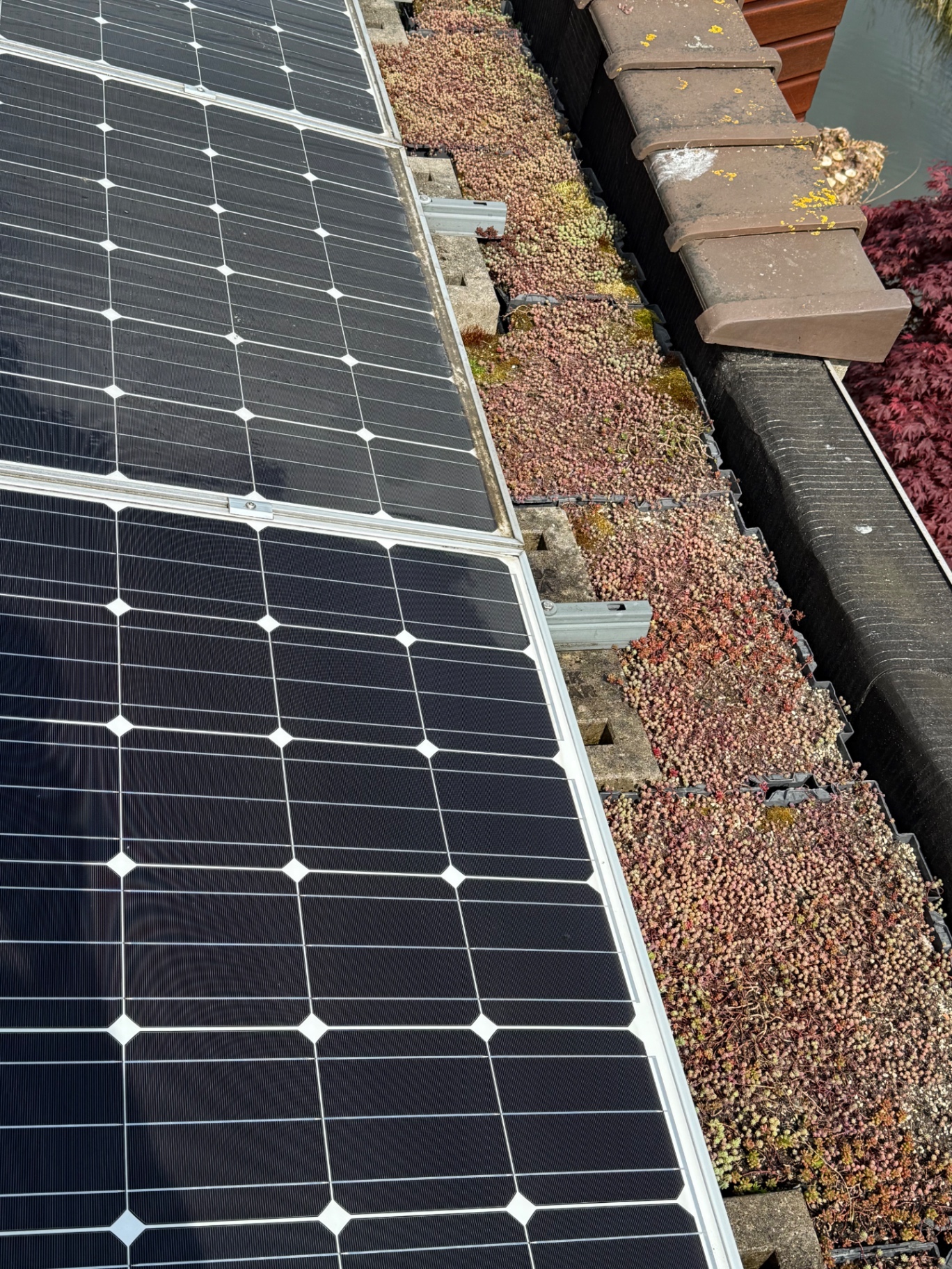 Zonnepanelen reinigen door Clean Finesse