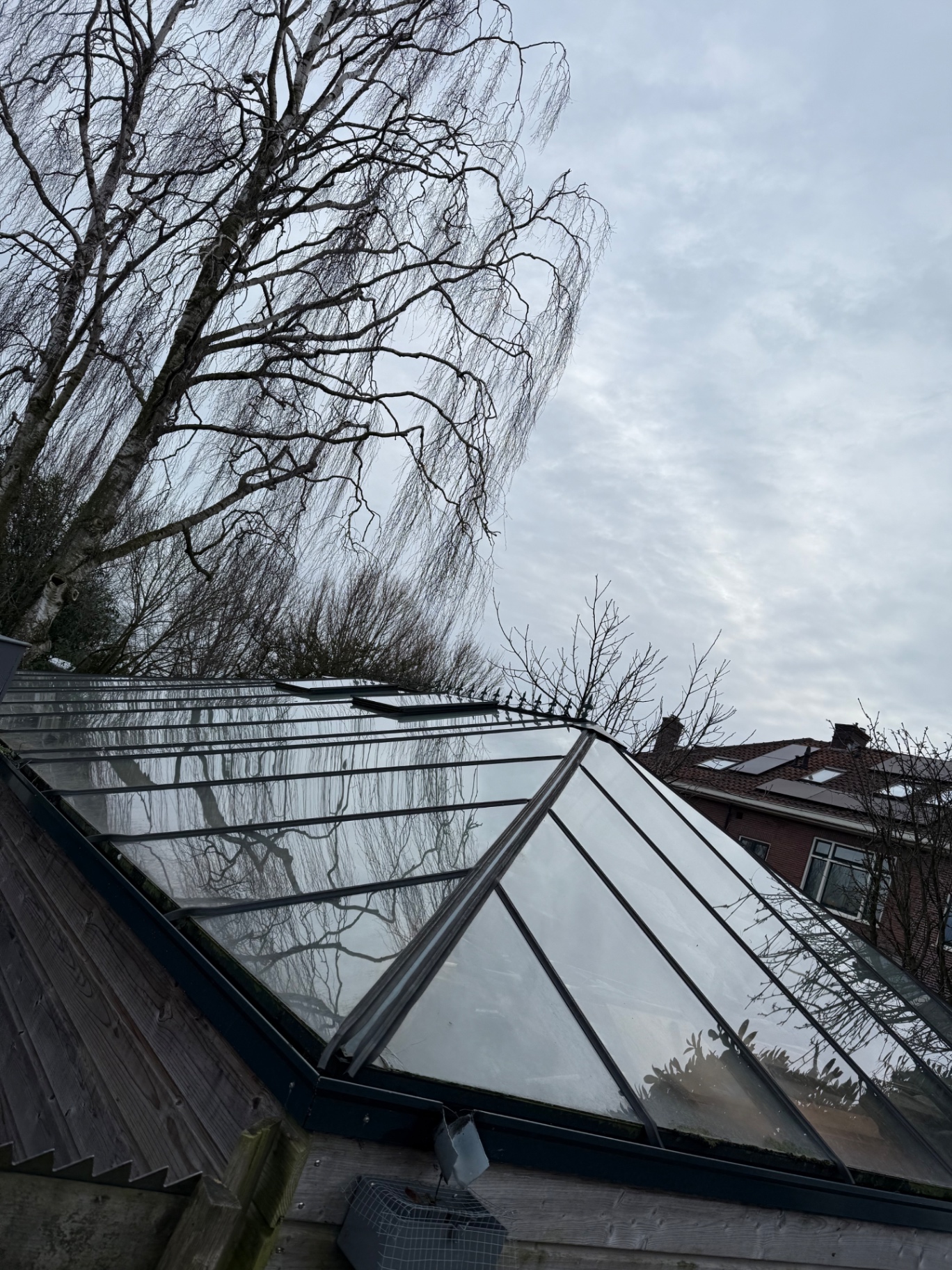 Serre reinigen door Clean Finesse