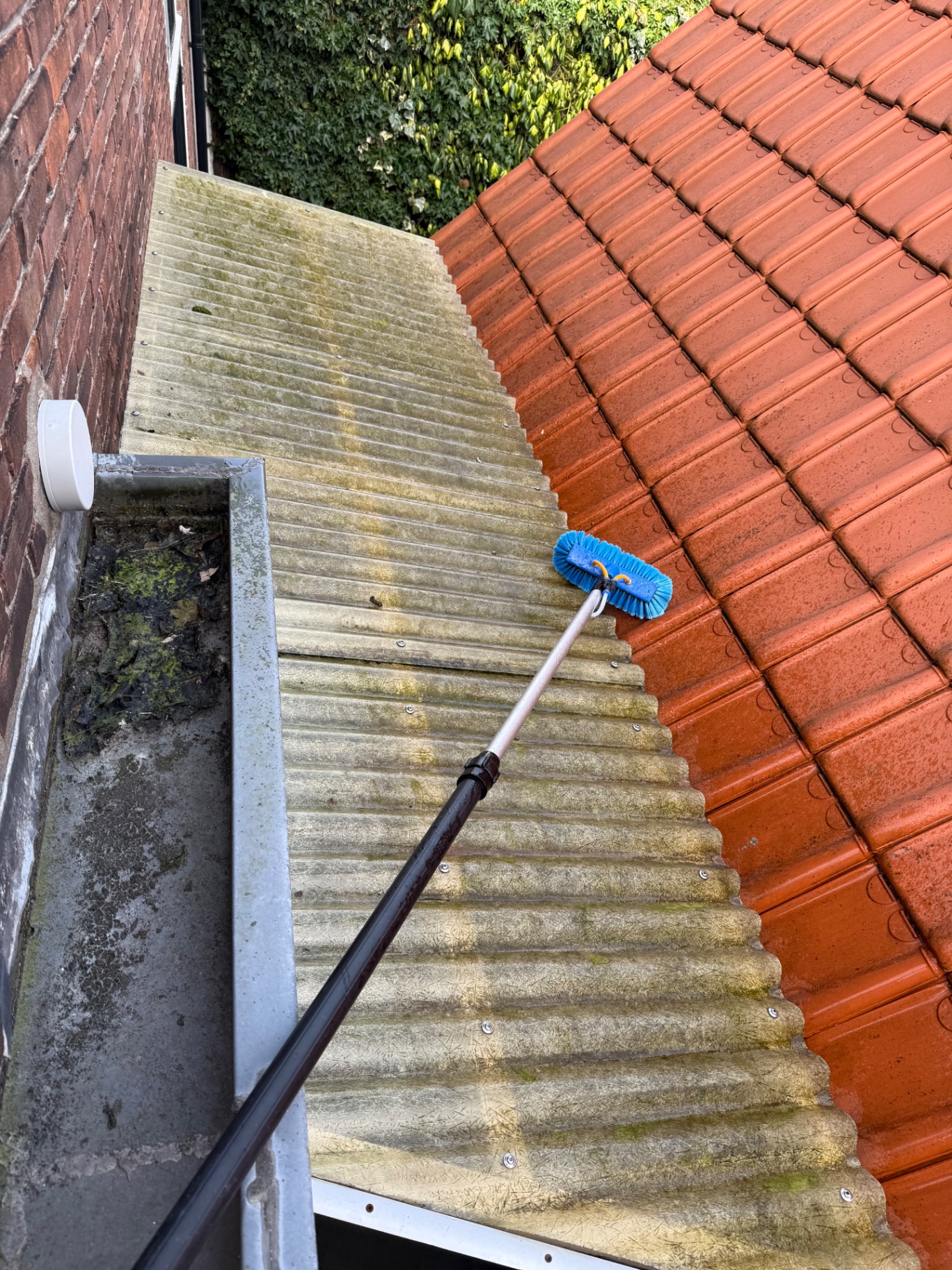 Dak met groene aanslag en volle dakgoot vóór reiniging door Clean Finesse